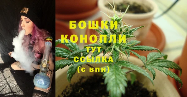 spice Беломорск