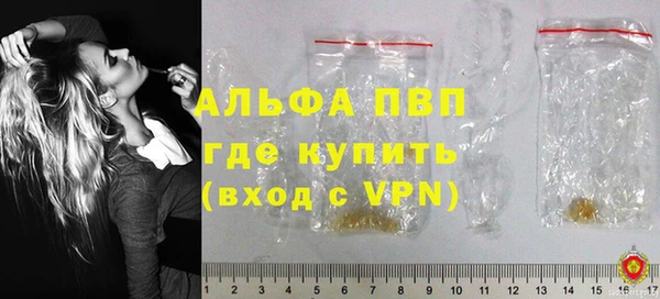 прущие грибы Белоозёрский