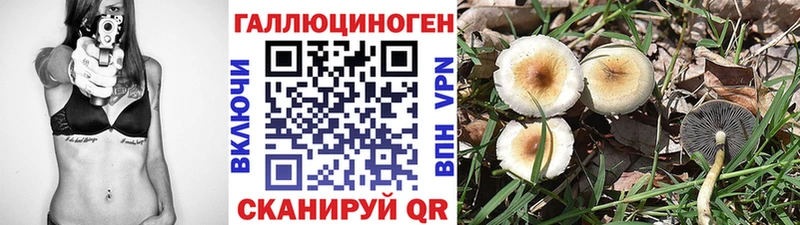 нарко площадка телеграм  Великий Устюг  Галлюциногенные грибы мухоморы 